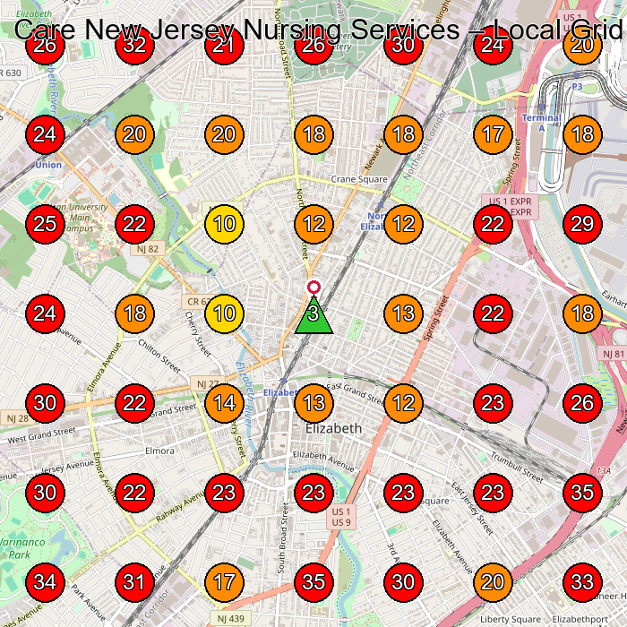 Care New Jersey Nursing Services GeoGrid visibility map for Home Health Care Service in Roselle